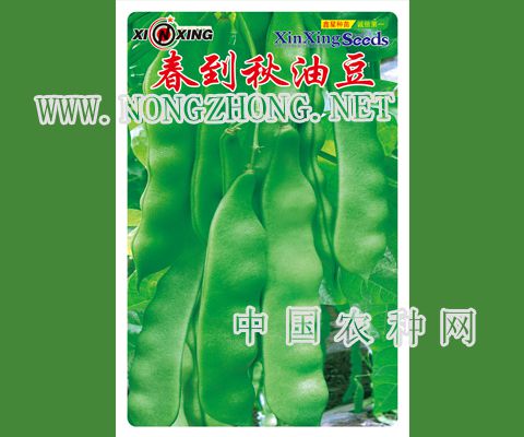 春到秋油豆